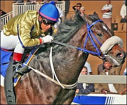 Kildonan winning the Golden Horse Sprint Grade 1 at Scottsville in record time