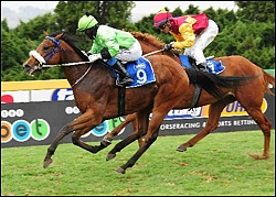 King's Wild, winning at Turffontein on Saturday. Image: JC Photos