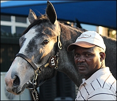 Backworth Stud at the 2012 Suncoast KZN Yearling Sale. Image: Candiese Marnewick