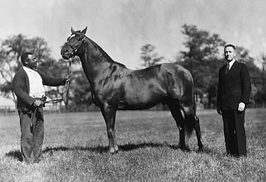 Admiral Richard E. Byrd with Man O'War and Groom Will Harbut, October 1932. Image: uky.edu