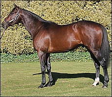 Miesque's Approval(USA), Scott Bros. Image: Scott Bros