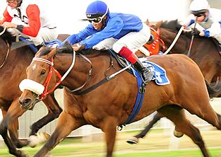 Meadow Magic. Image: sportingpost.co.za