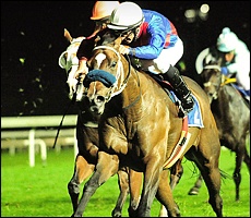 Onehundredacrewood. Image: Summerhill Stud