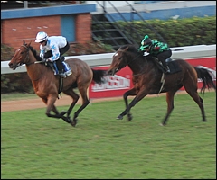 Pierre Jourdan kicked off the morning, partnered by Mystic Tigress. Image: Candiese Marnewick