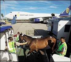 Being loaded from the truck into the berths for the plane. Notice how high they are above the ground. Image: Getty Images