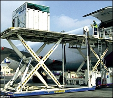 Horses being hoisted up into the plane. Image: Getty Images