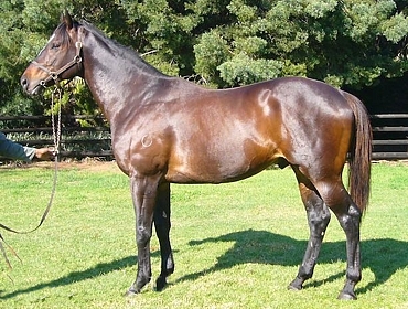 Redoute's Promise