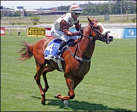 Reign As Kings coming home alone yesterday at Clairwood. Image: Gold Circle