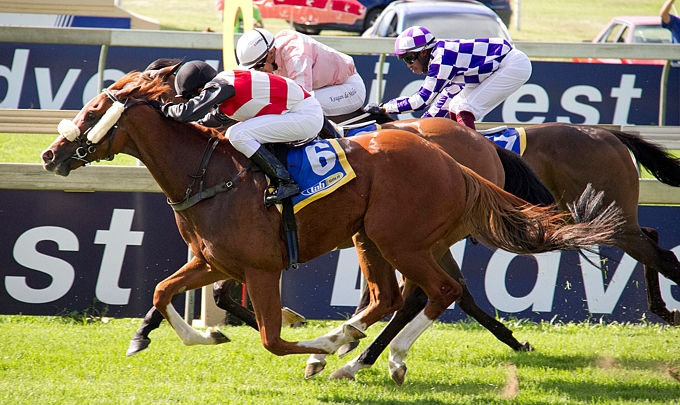 Risky Rosco. Image: Gold Circle