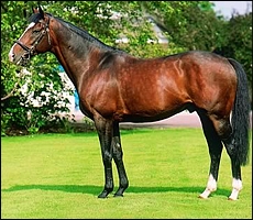 Sadler's Wells