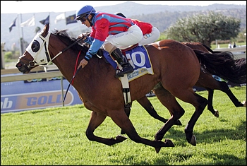 Showmetheway, winning his previous start at Scottsville - he has now won five consecutive races. Image: Gold Circle