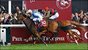 Solemia, winning the Arc on Saturday. Image: theaustralian.com.au