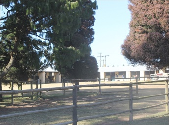 Stables