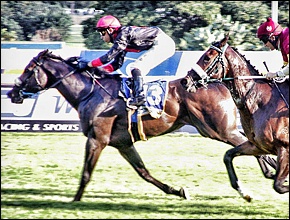 Truly Exclusive - Bred by Backworth Stud (Photo : Gold Circle)