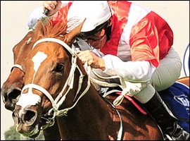 Variometer - Bred by Backworth Stud