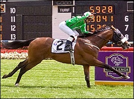 Winchester, a grandson of Spectrum(IRE)