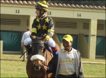 Yellow Star Winners