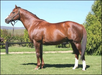 Woodborough(USA) by Woodman