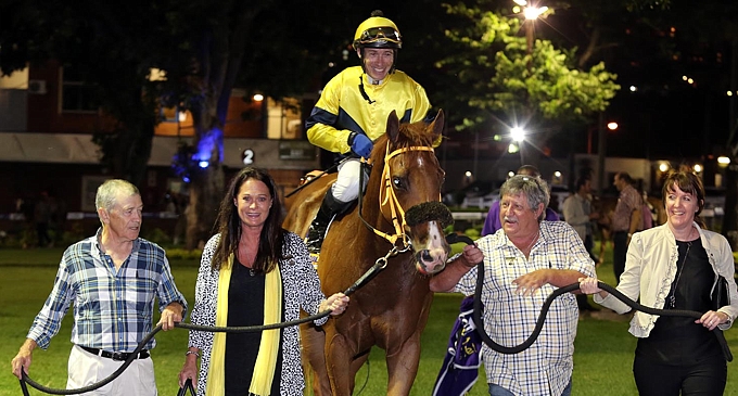 The Fort Stud pretraining graduate, Fortissimo. Image: Gold Circle