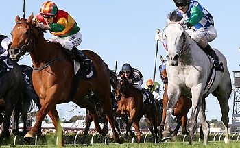 Puissance De Lune. Images: theaustralian.com.au.