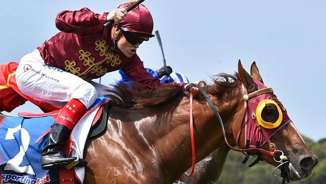 Thurlow winning the Gr3 Chairmans Stakes. Photo: heraldsun.com.au